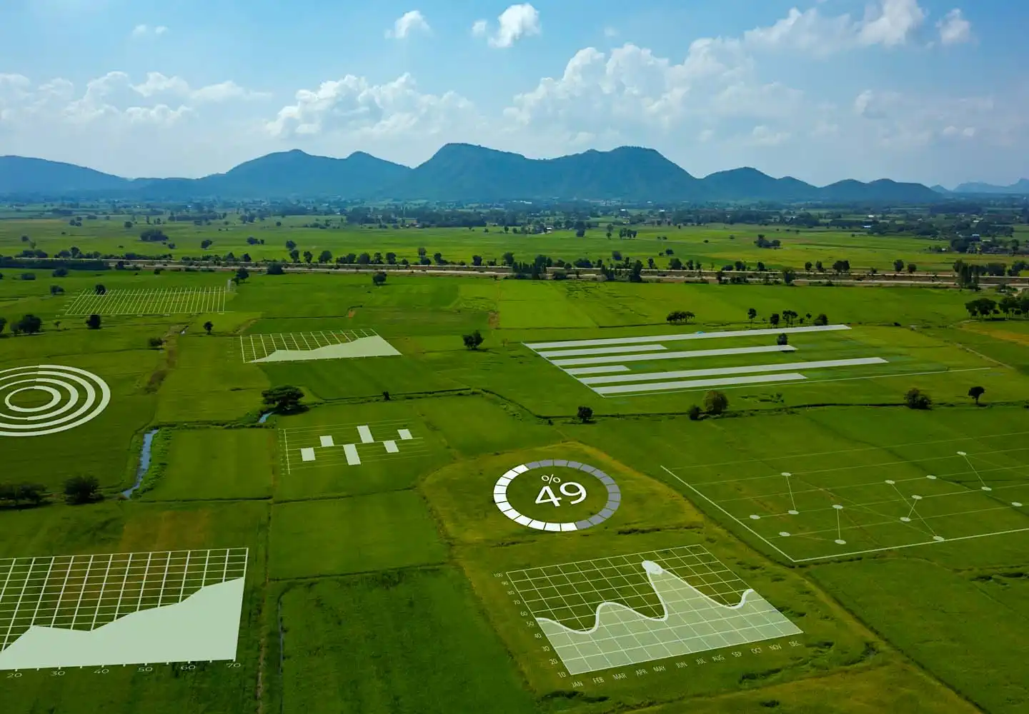 Eco-fleet and Sustainability Background