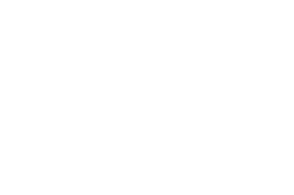 Marketing Goal Icon